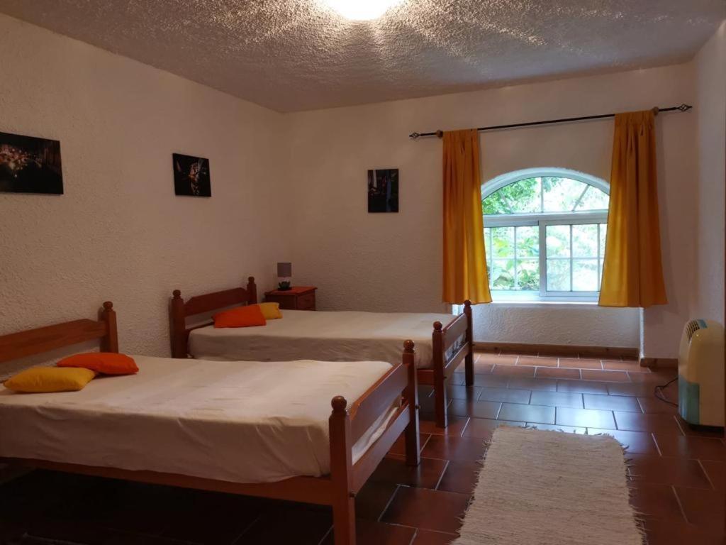 Lomba  Casa Do Pedro E Da Marina 게스트하우스 외부 사진